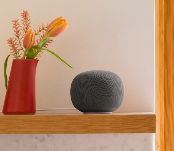 Google Home 2026 (Bild: Google)